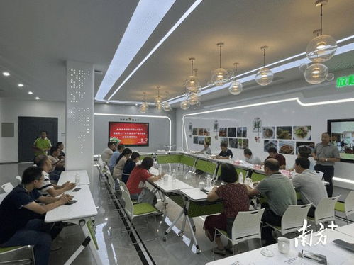 打造農(nóng)業(yè)新生態(tài) 梅州樂得鮮蔬菜工廠化育苗及生產(chǎn)技術(shù)規(guī)程企業(yè)標(biāo)準(zhǔn)通過審評